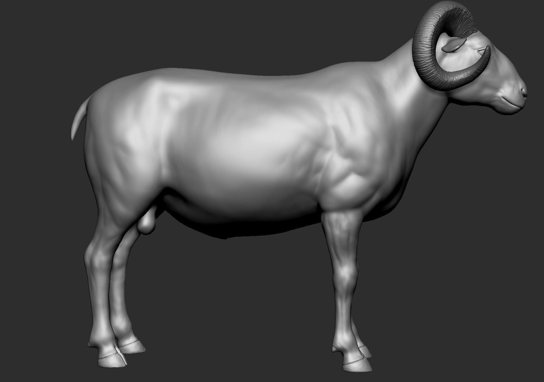 Domestic animal collection 5 animals 3D model_37