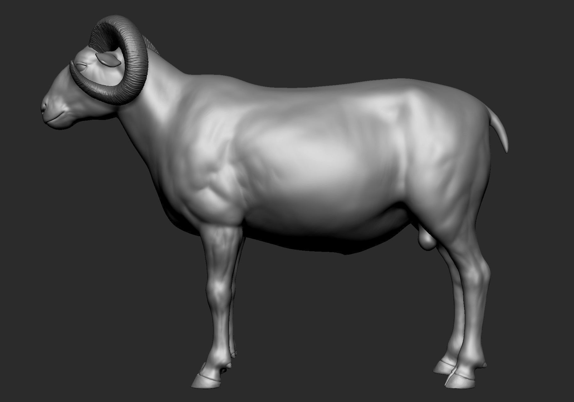 Domestic animal collection 5 animals 3D model_41