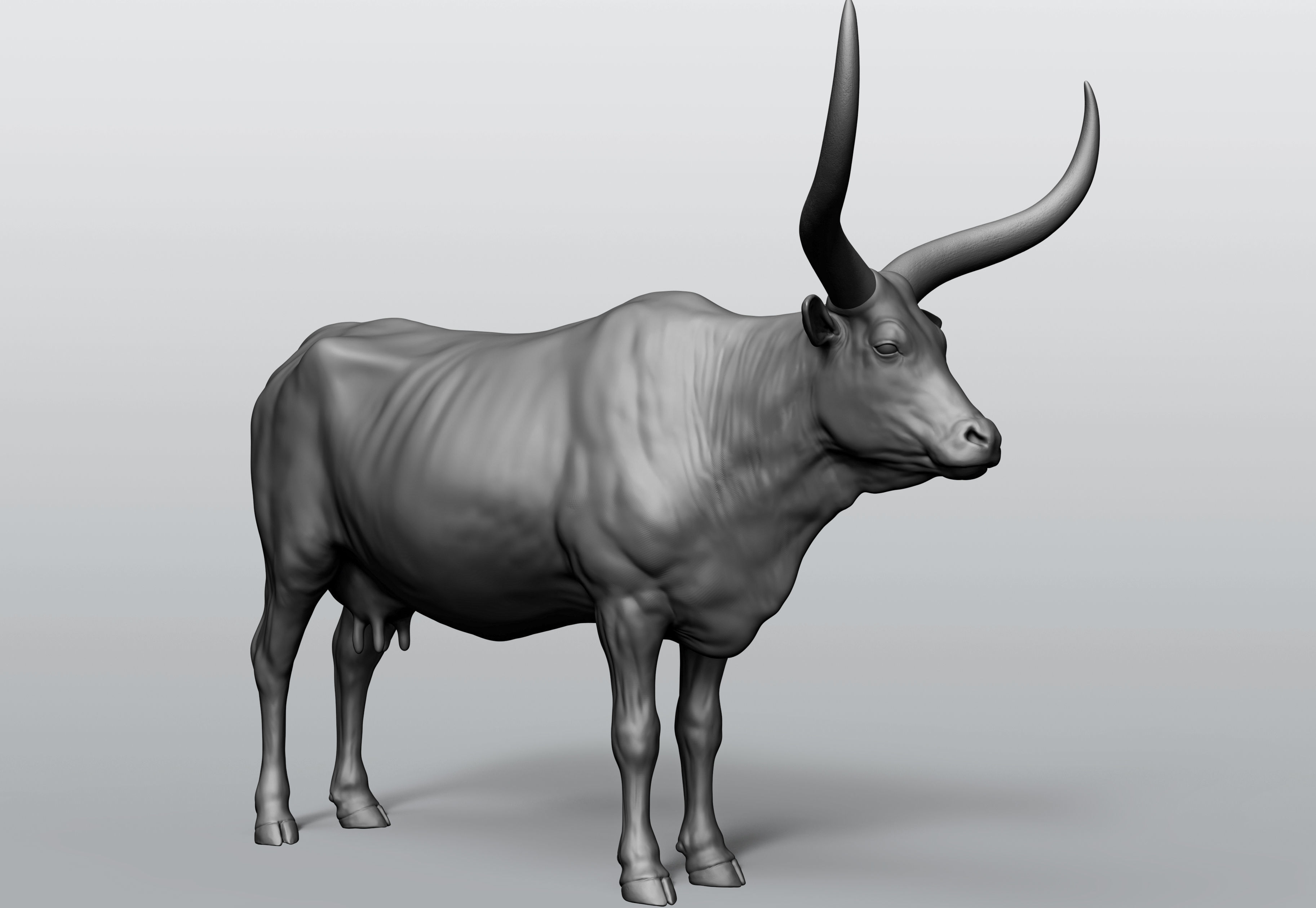 Domestic animal collection 5 animals 3D model_18