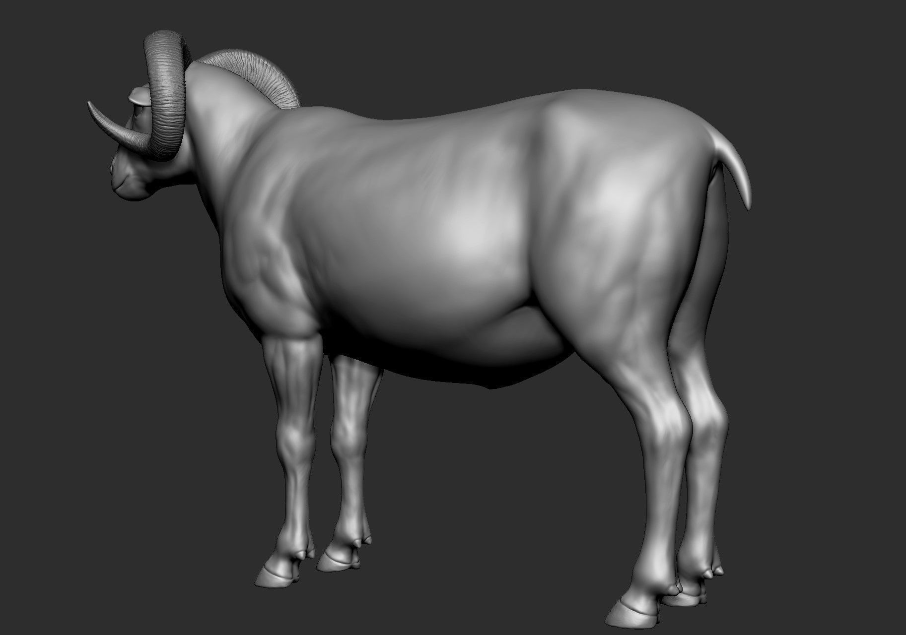 Domestic animal collection 5 animals 3D model_39