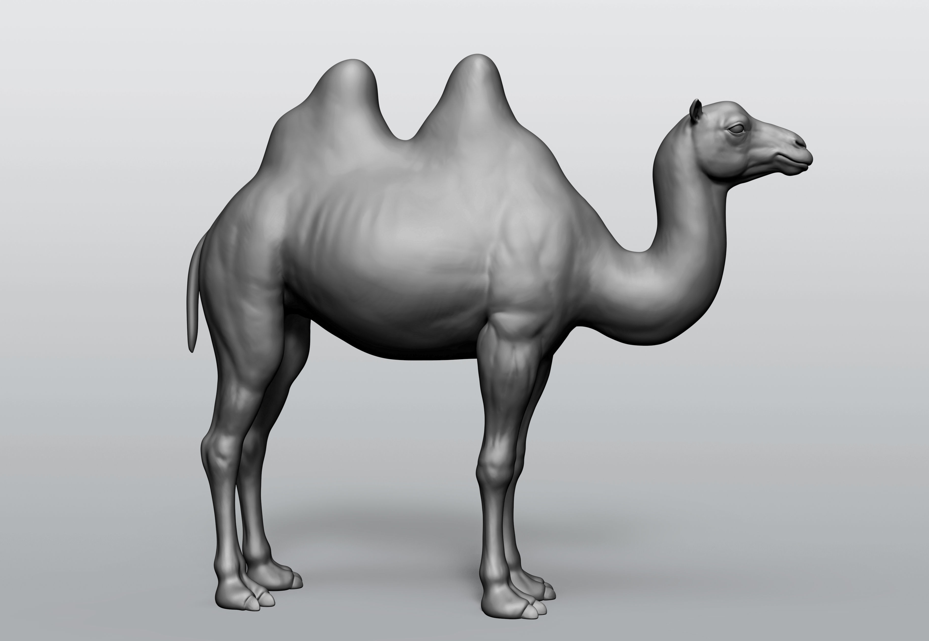 Domestic animal collection 5 animals 3D model_2