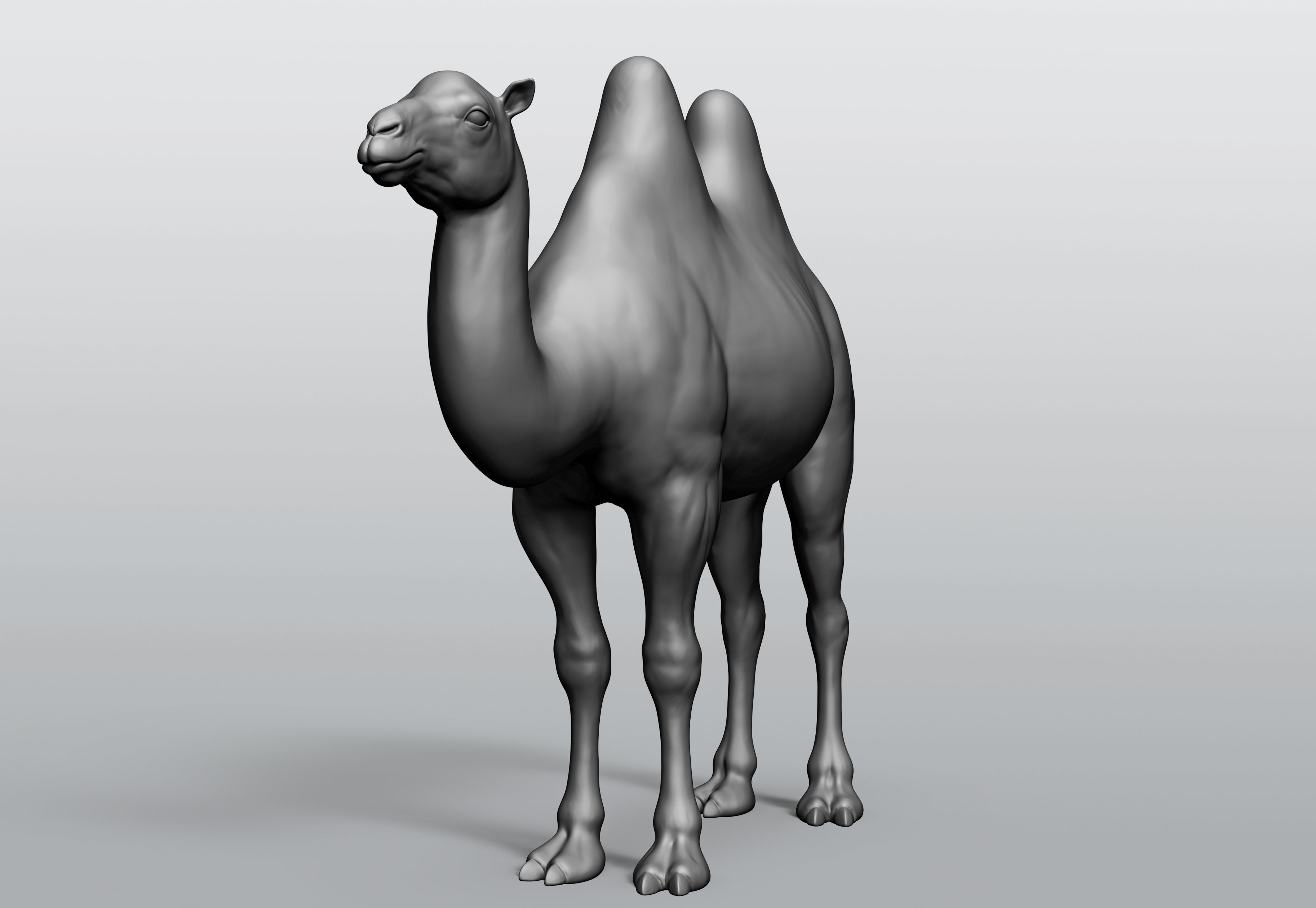 Domestic animal collection 5 animals 3D model_4