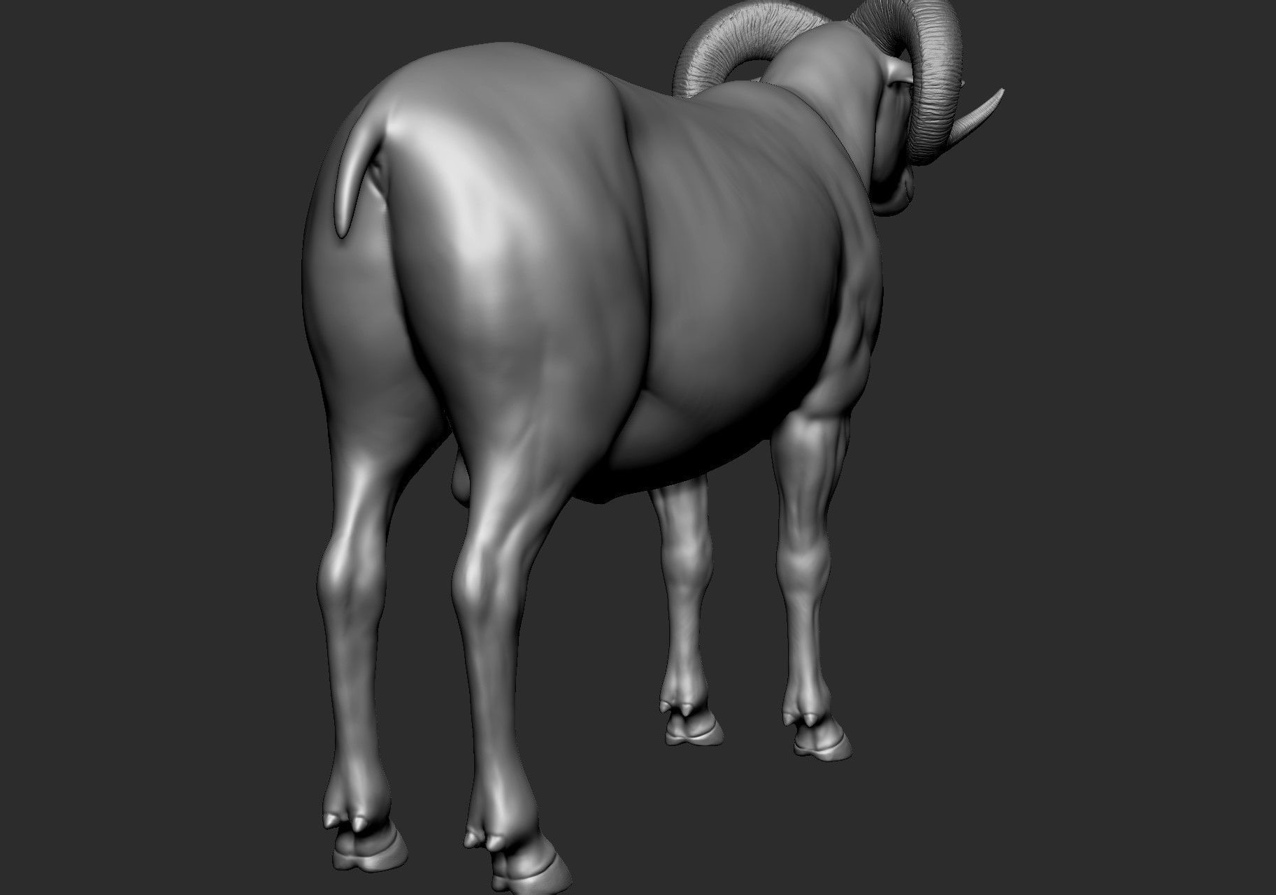 Domestic animal collection 5 animals 3D model_38