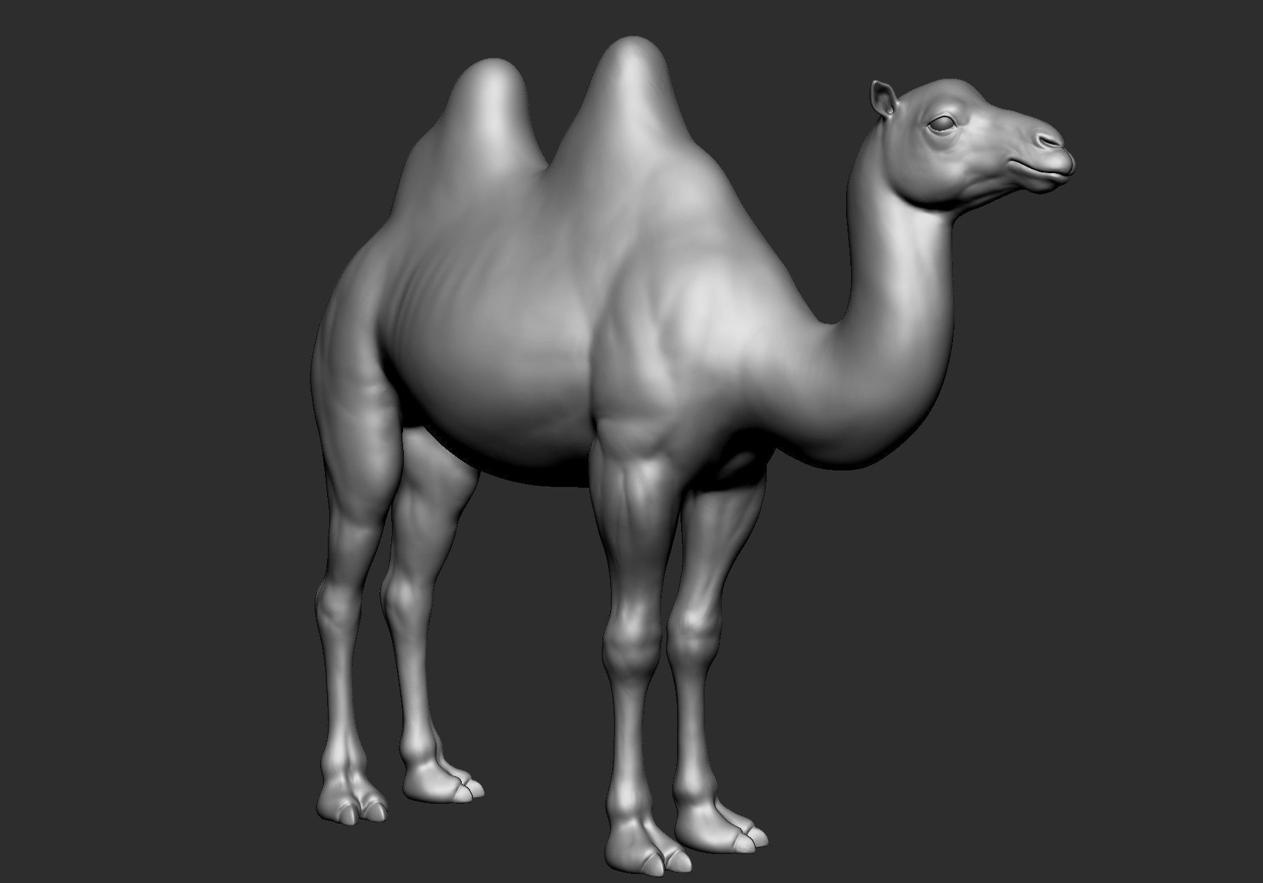 Domestic animal collection 5 animals 3D model_14