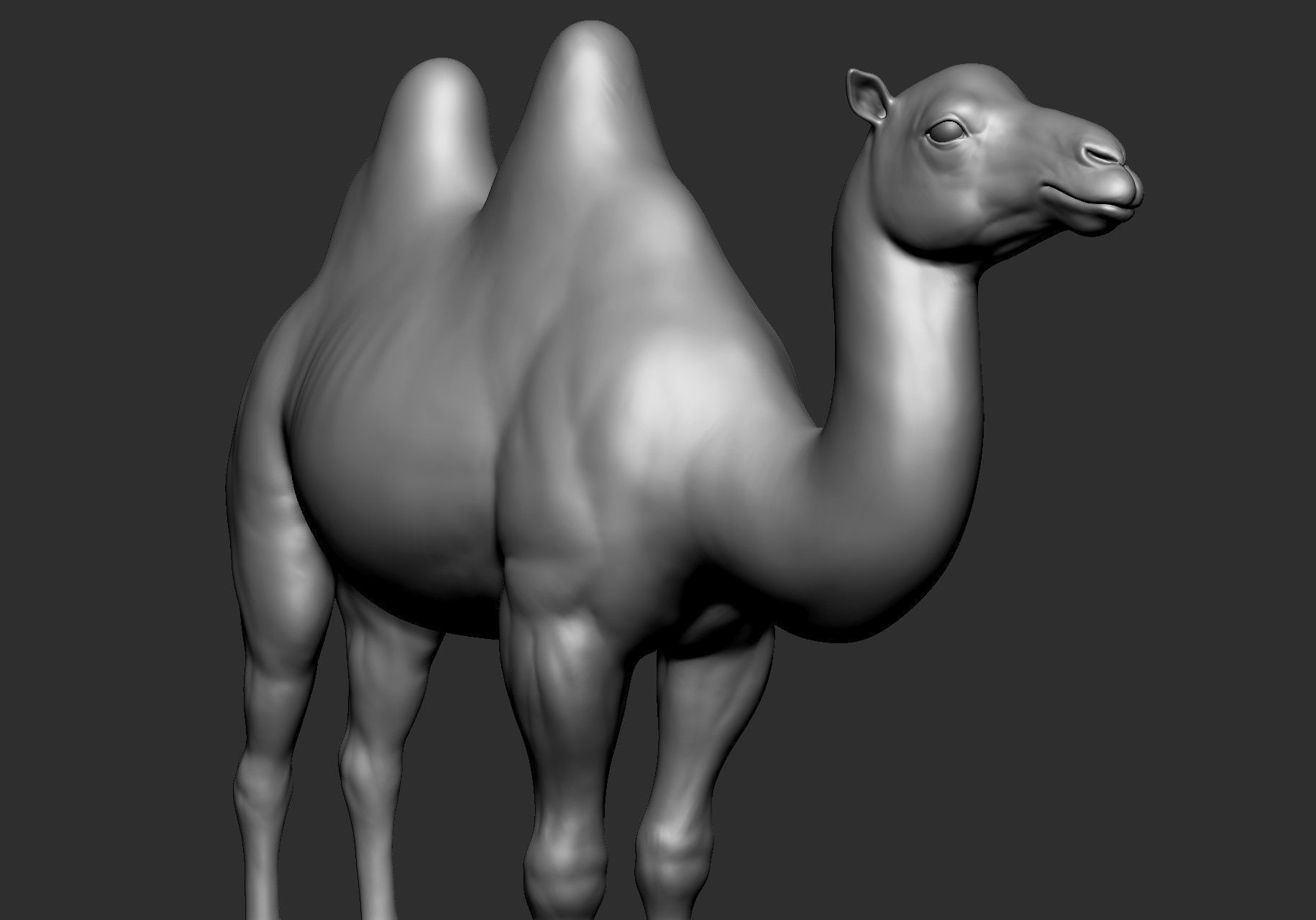 Domestic animal collection 5 animals 3D model_15