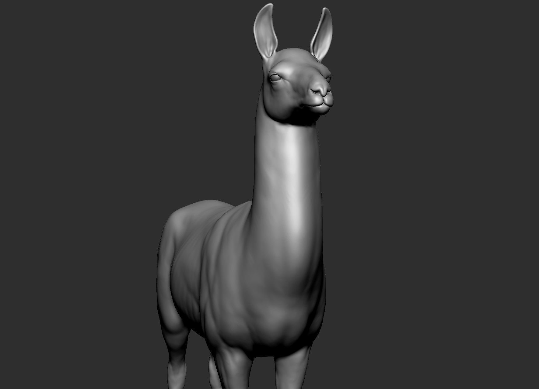 Domestic animal collection 5 animals 3D model_53