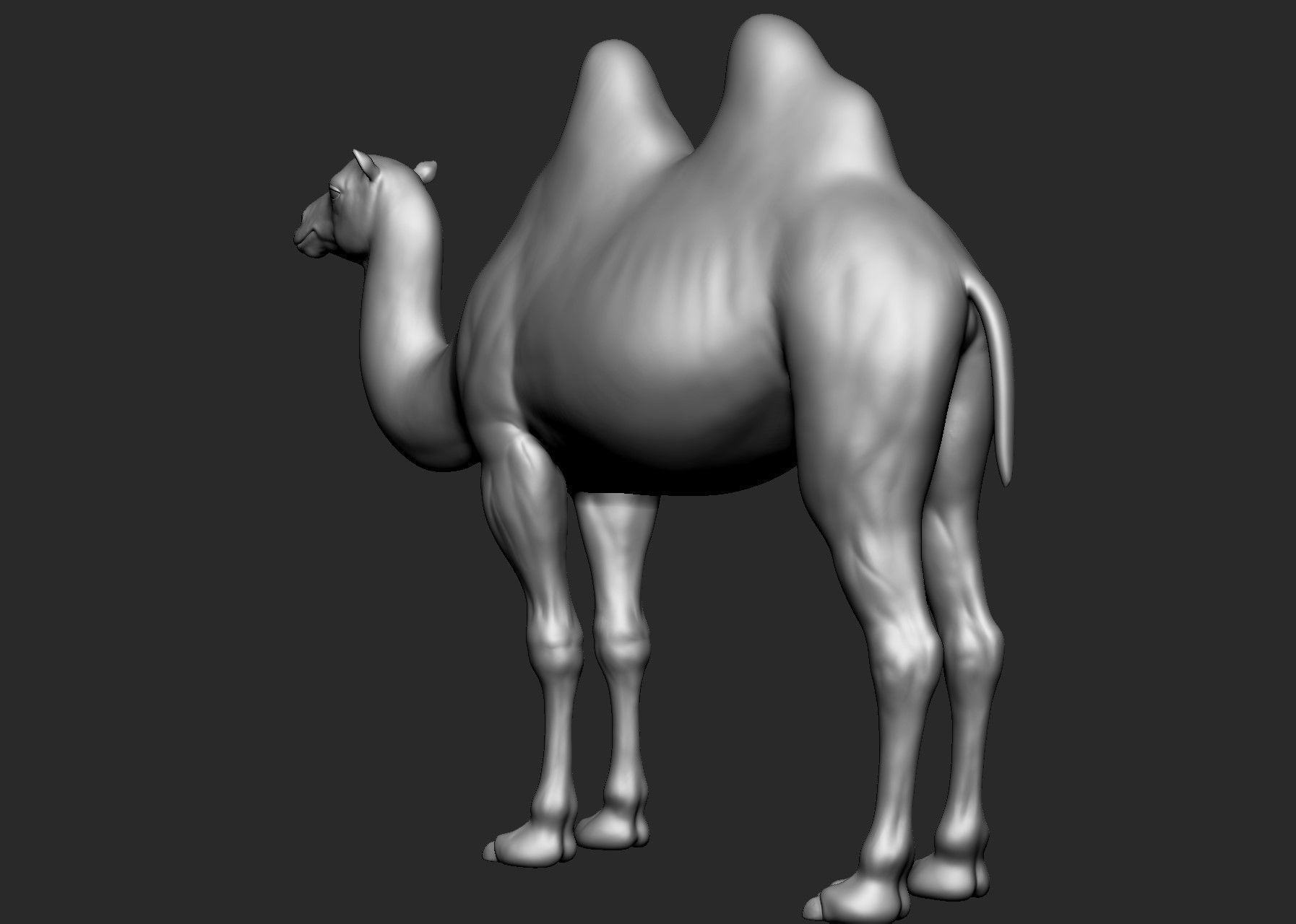Domestic animal collection 5 animals 3D model_11
