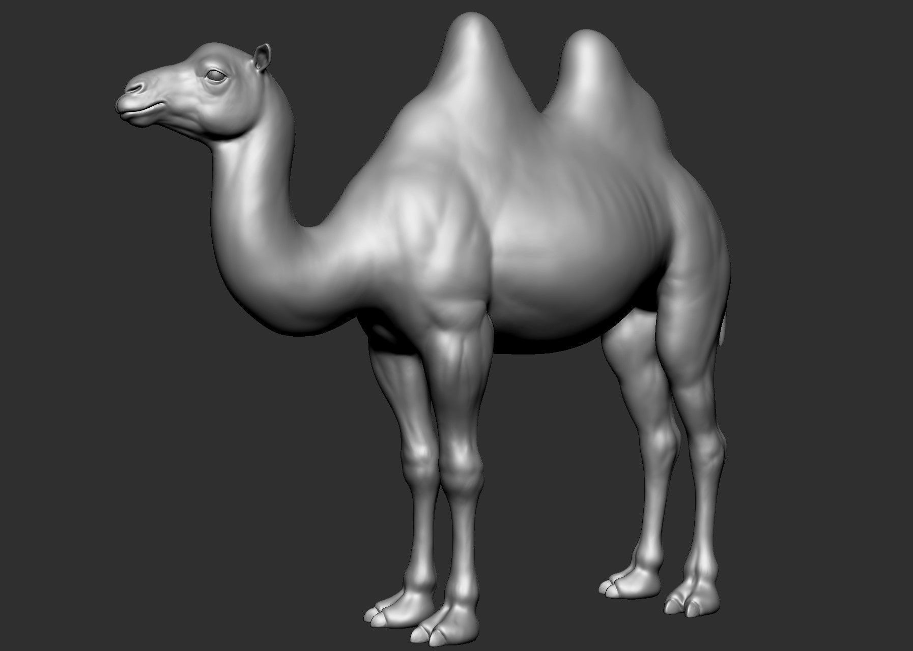 Domestic animal collection 5 animals 3D model_10