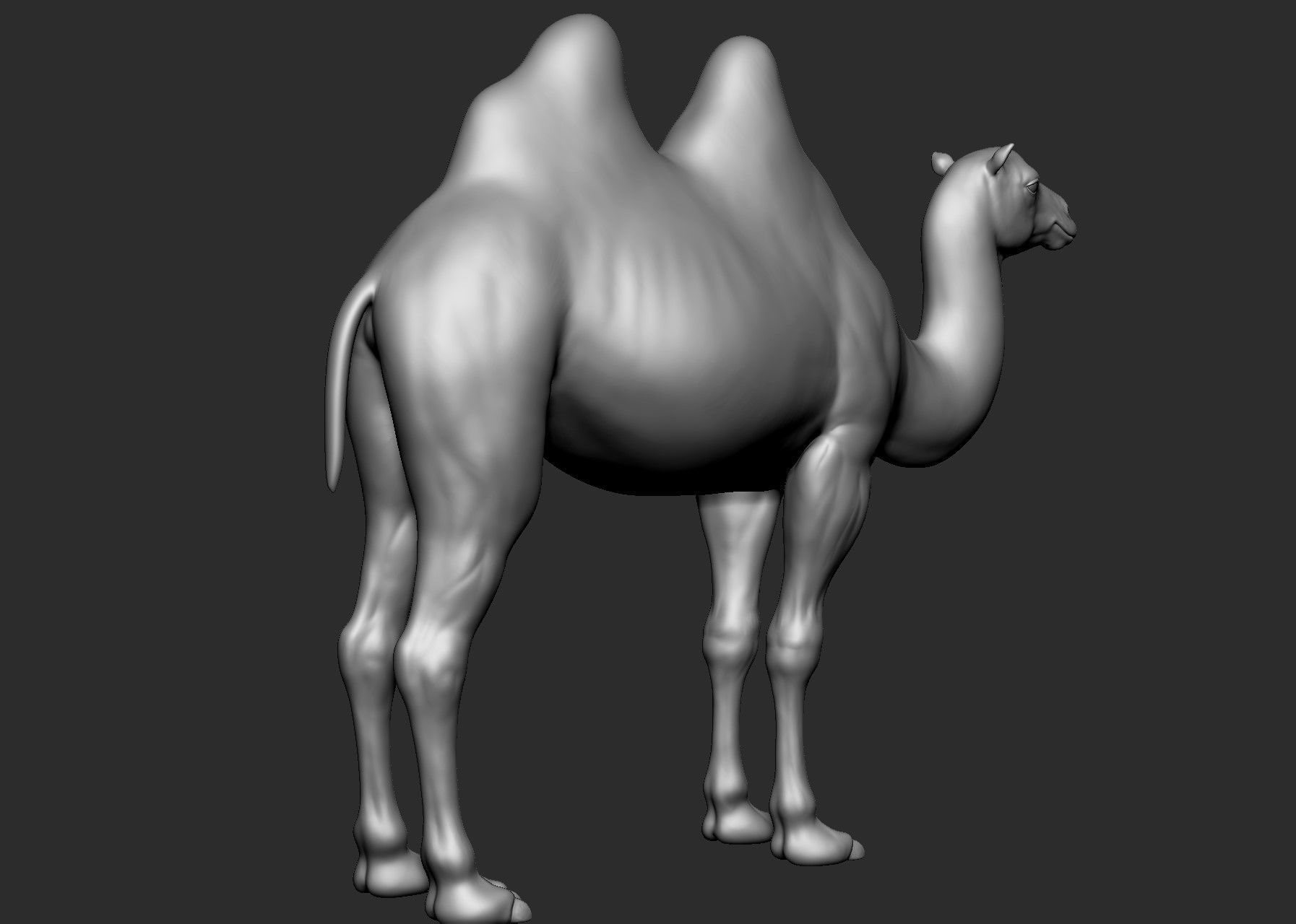 Domestic animal collection 5 animals 3D model_7