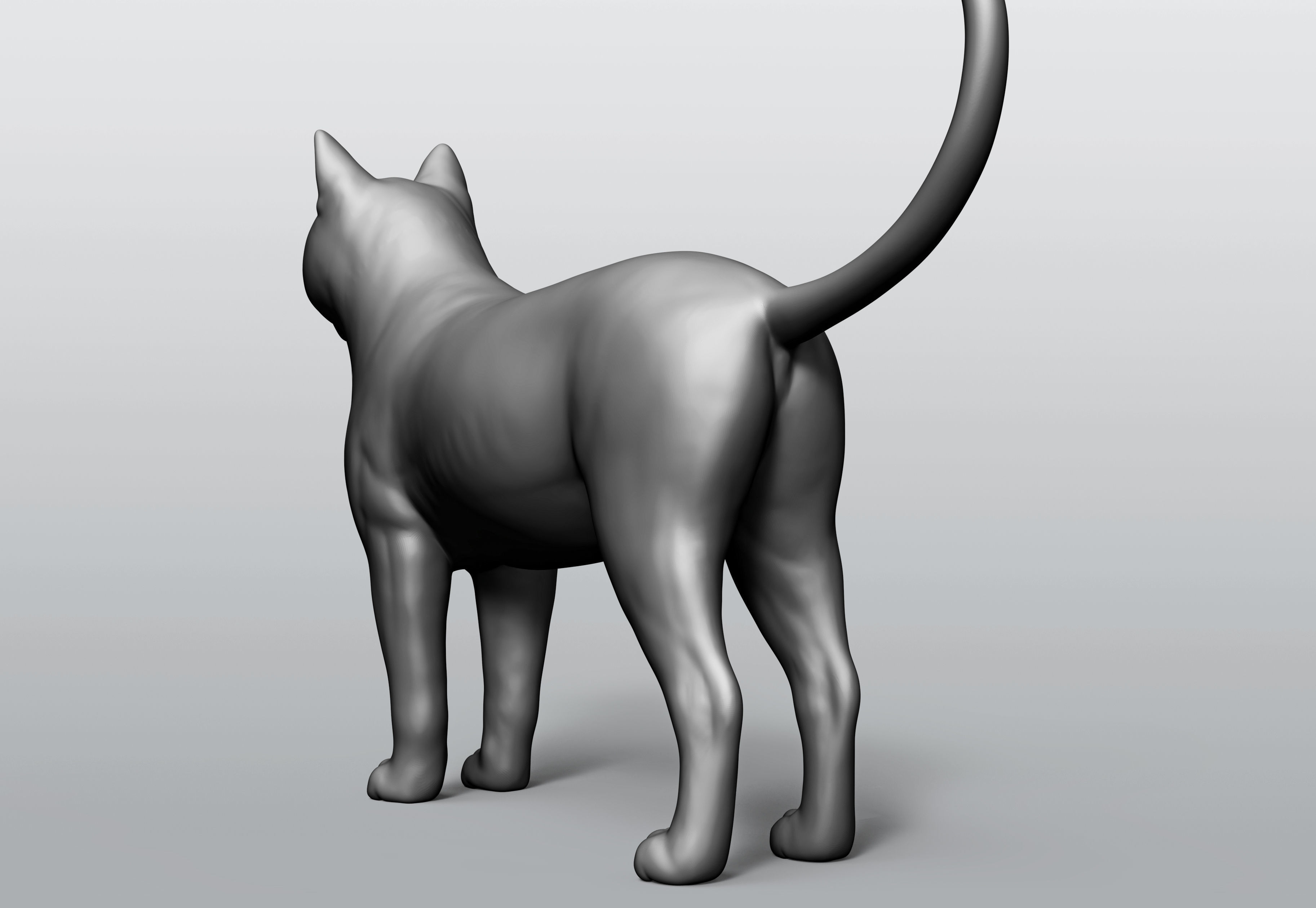 Domestic animal collection 5 animals 3D model_57
