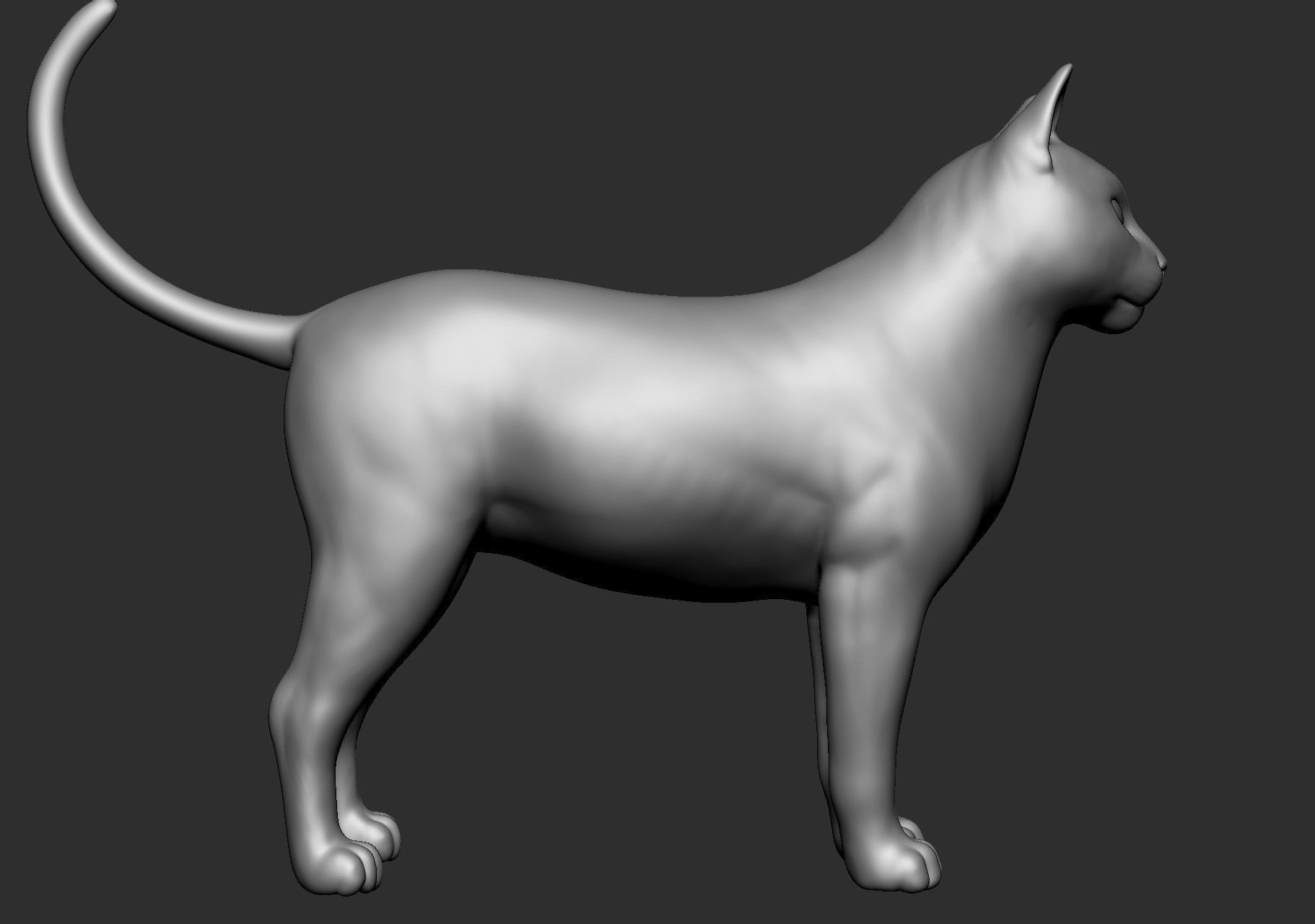 Domestic animal collection 5 animals 3D model_60
