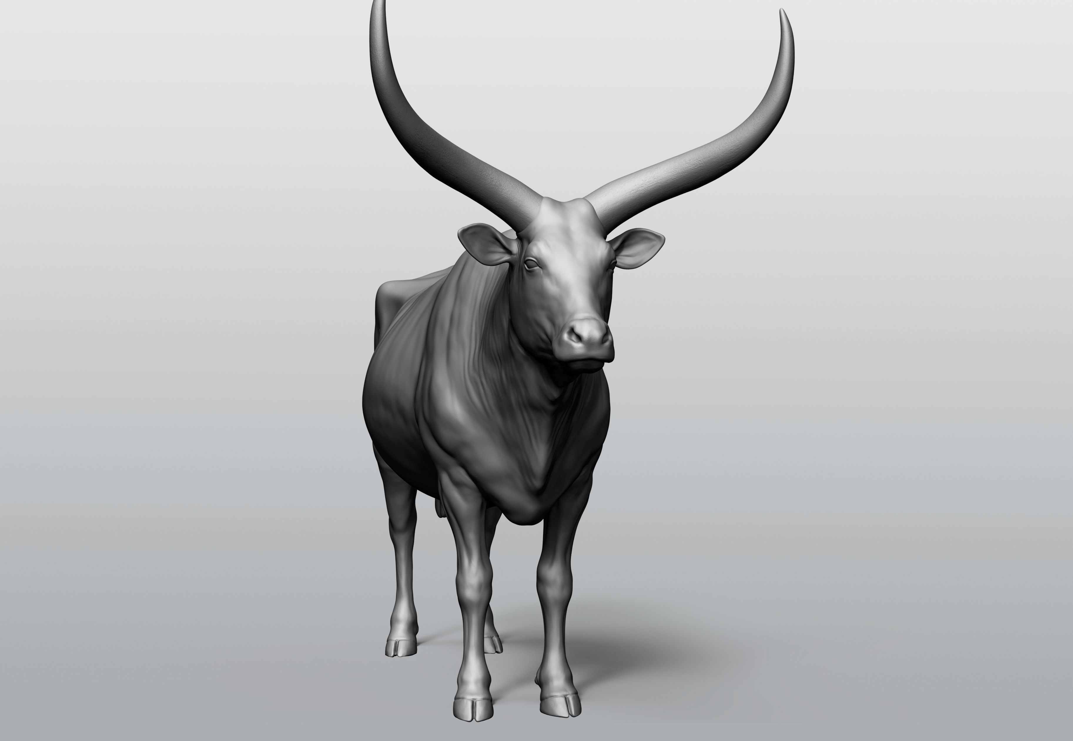 Domestic animal collection 5 animals 3D model_16