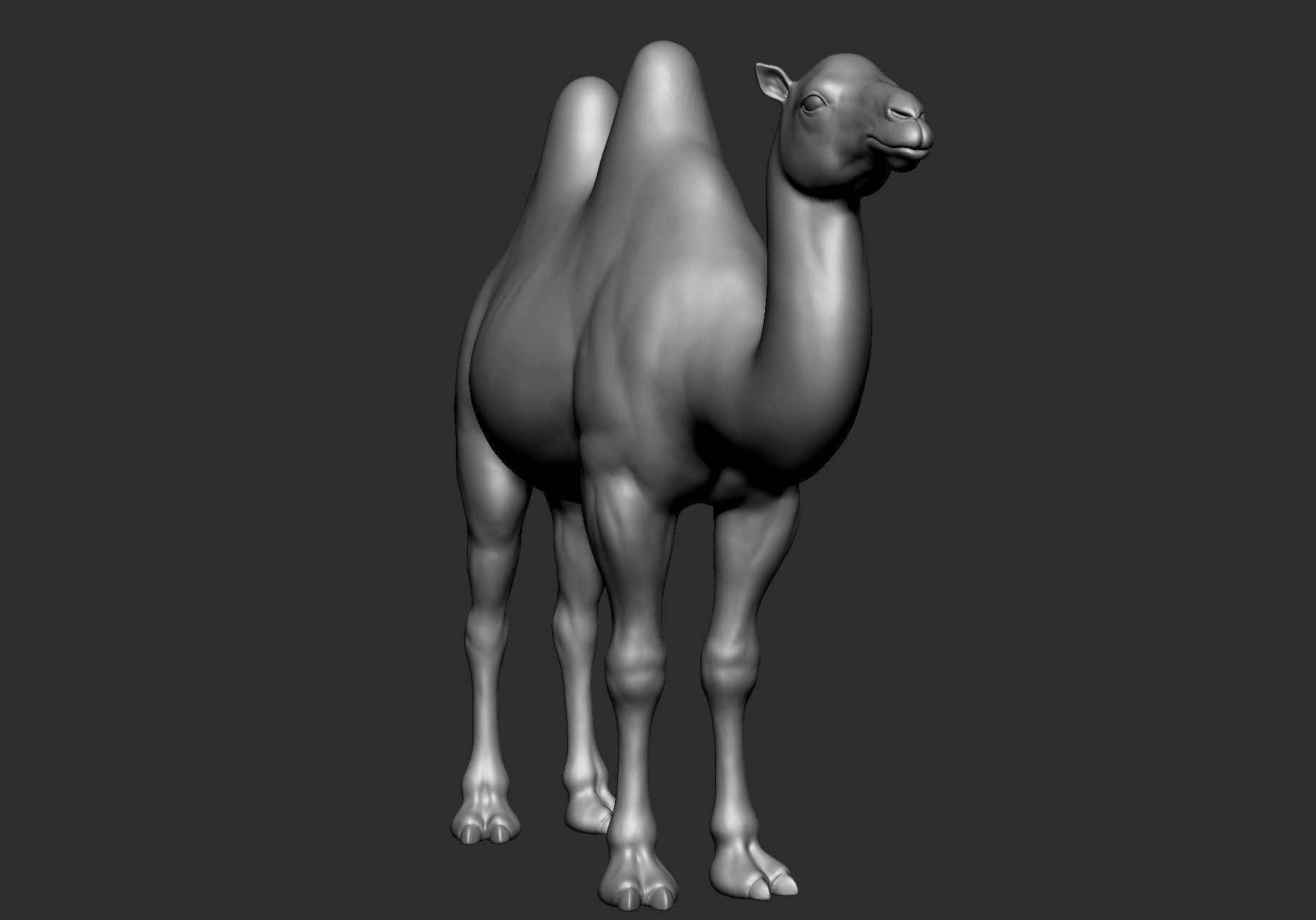 Domestic animal collection 5 animals 3D model_13