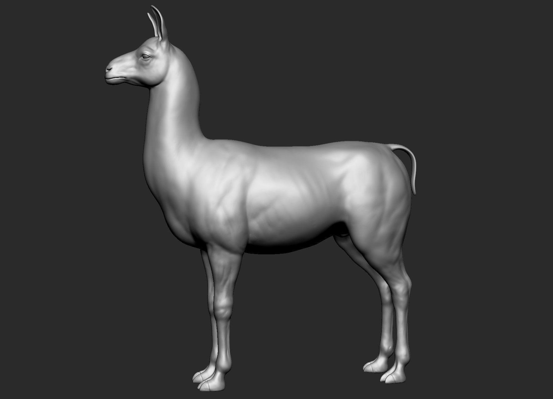 Domestic animal collection 5 animals 3D model_51