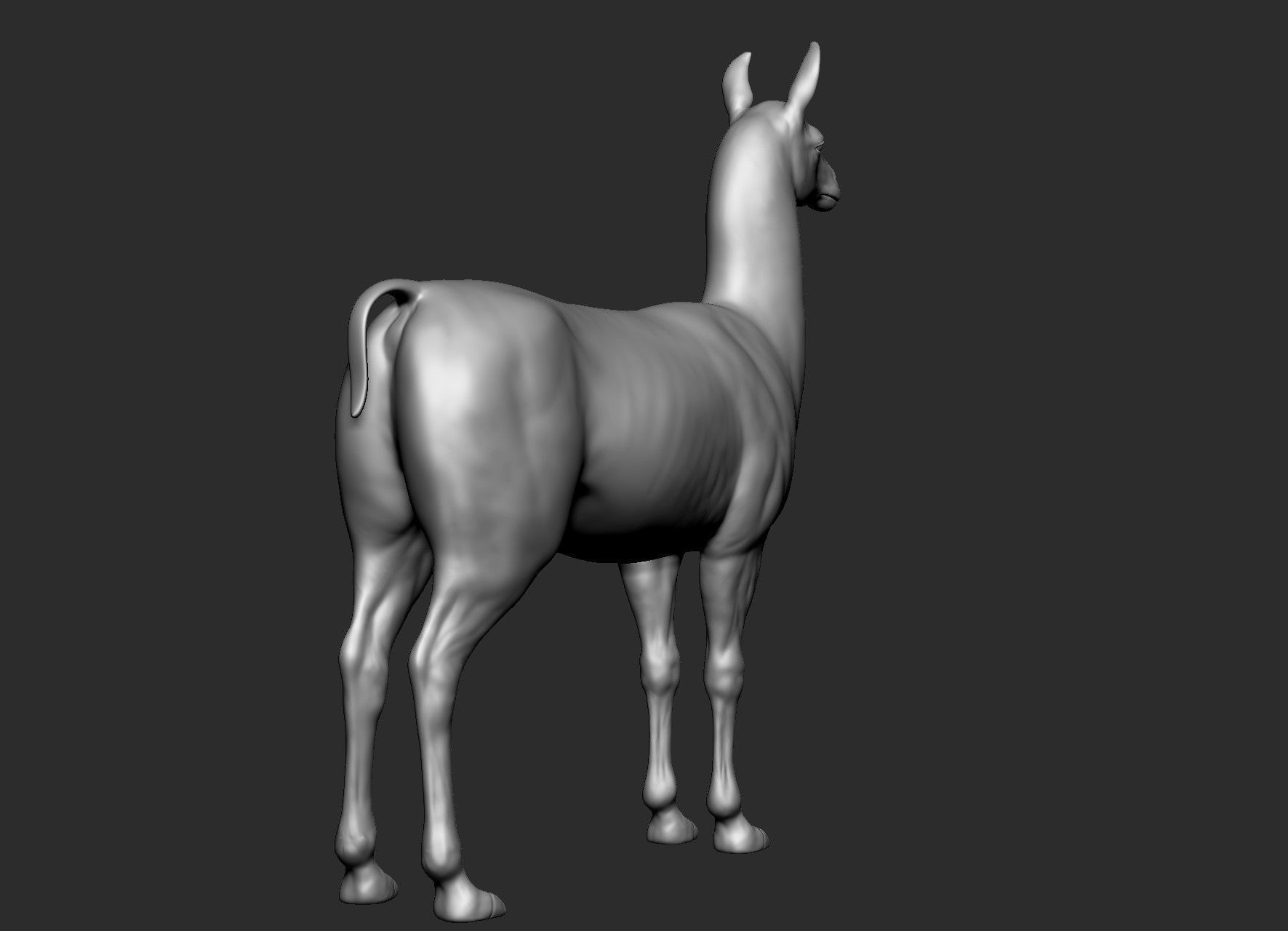 Domestic animal collection 5 animals 3D model_50