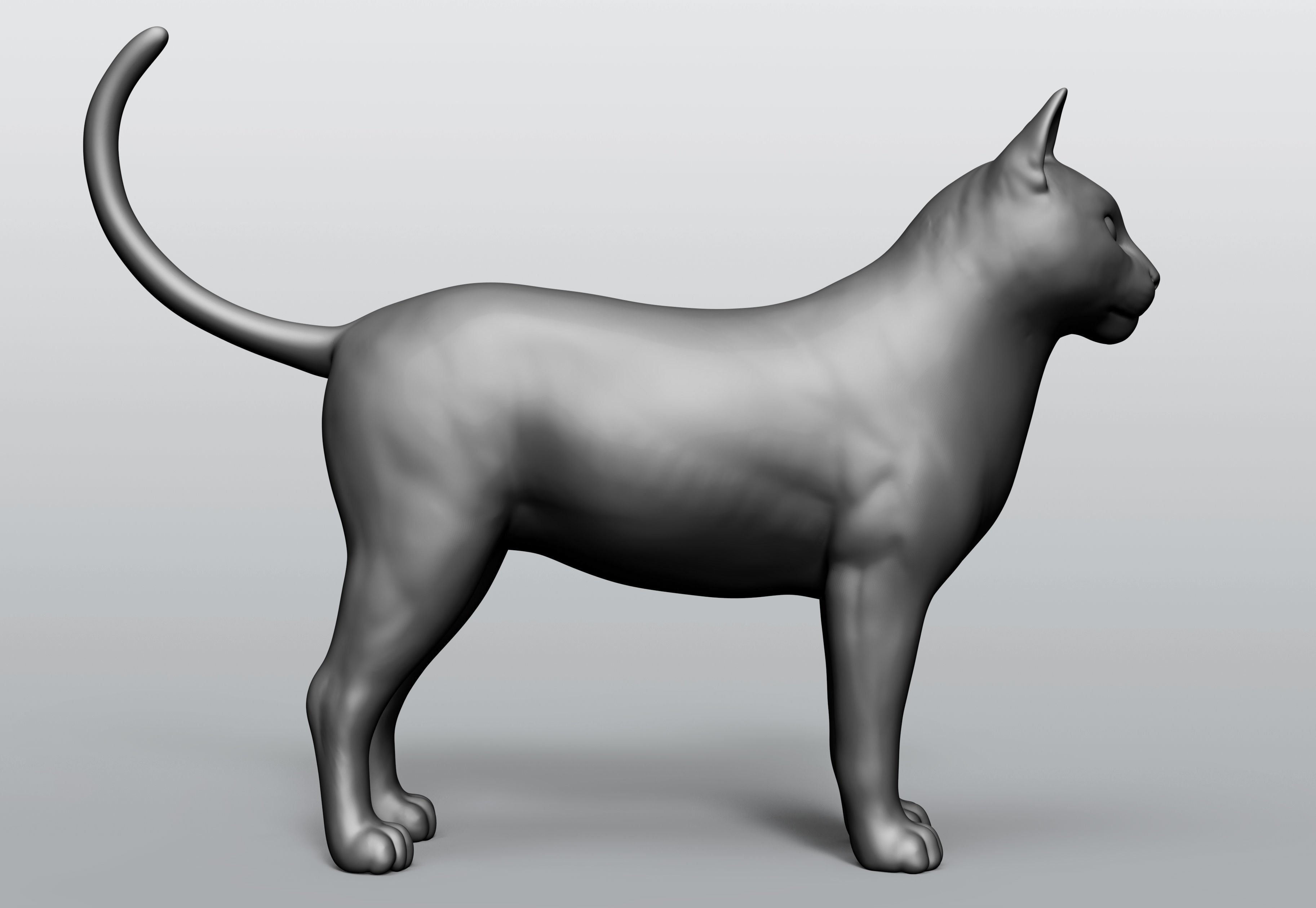 Domestic animal collection 5 animals 3D model_58