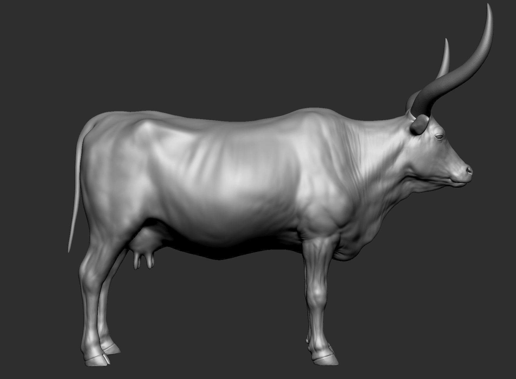 Domestic animal collection 5 animals 3D model_23