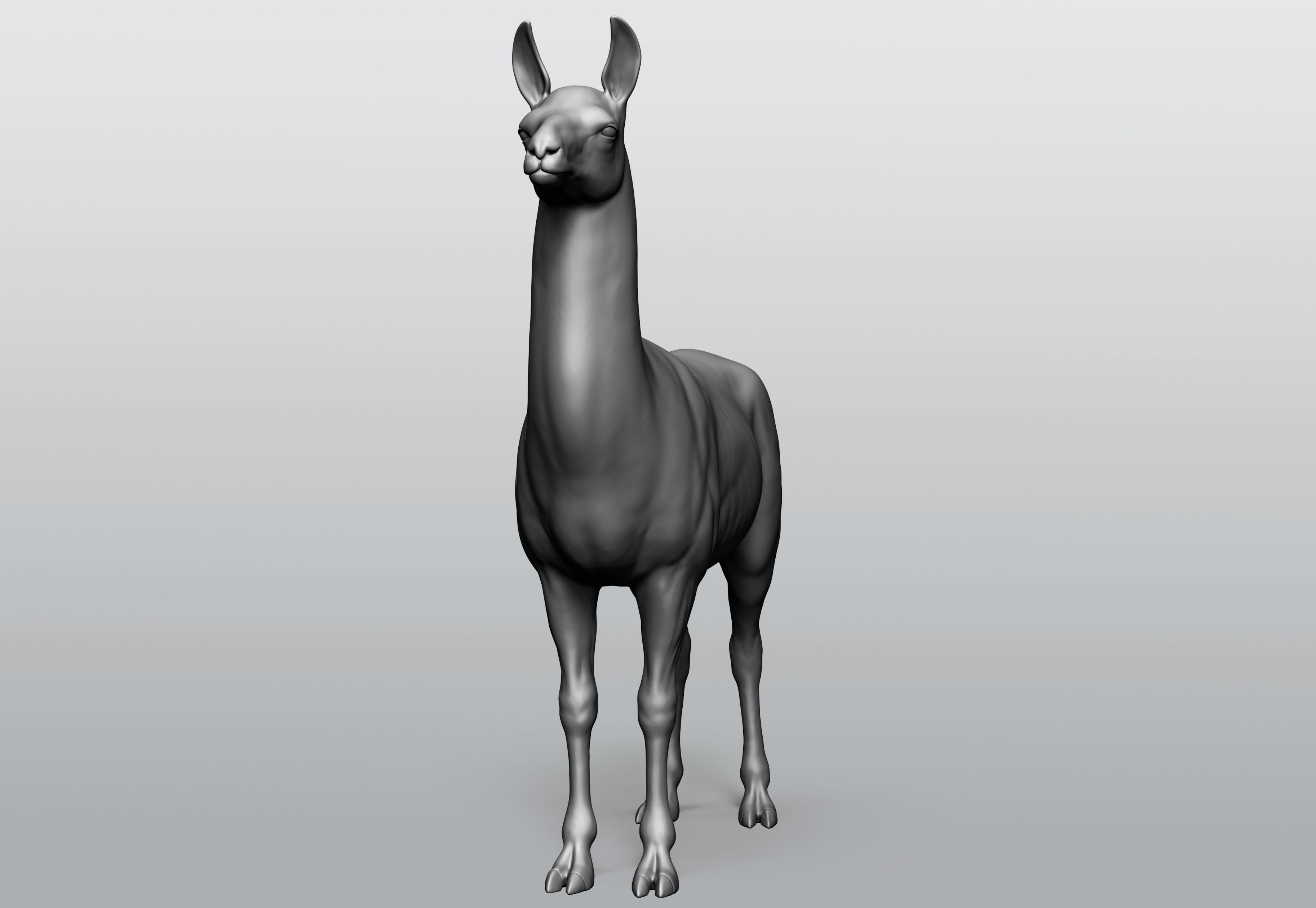 Domestic animal collection 5 animals 3D model_46