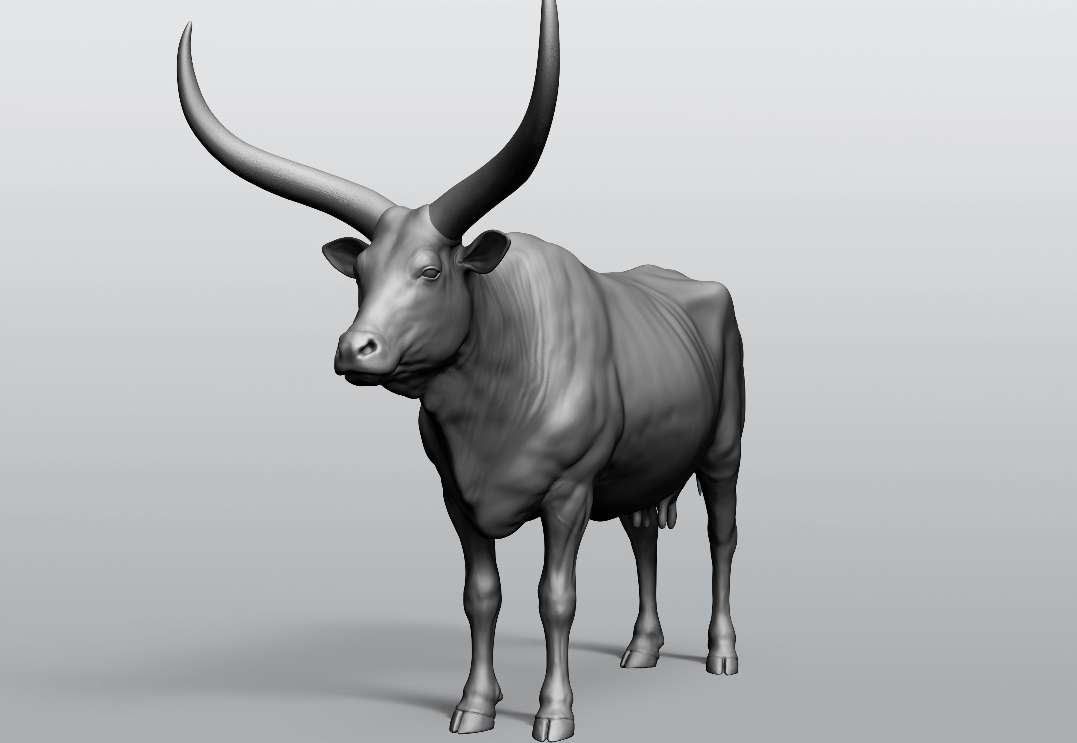 Domestic animal collection 5 animals 3D model_19