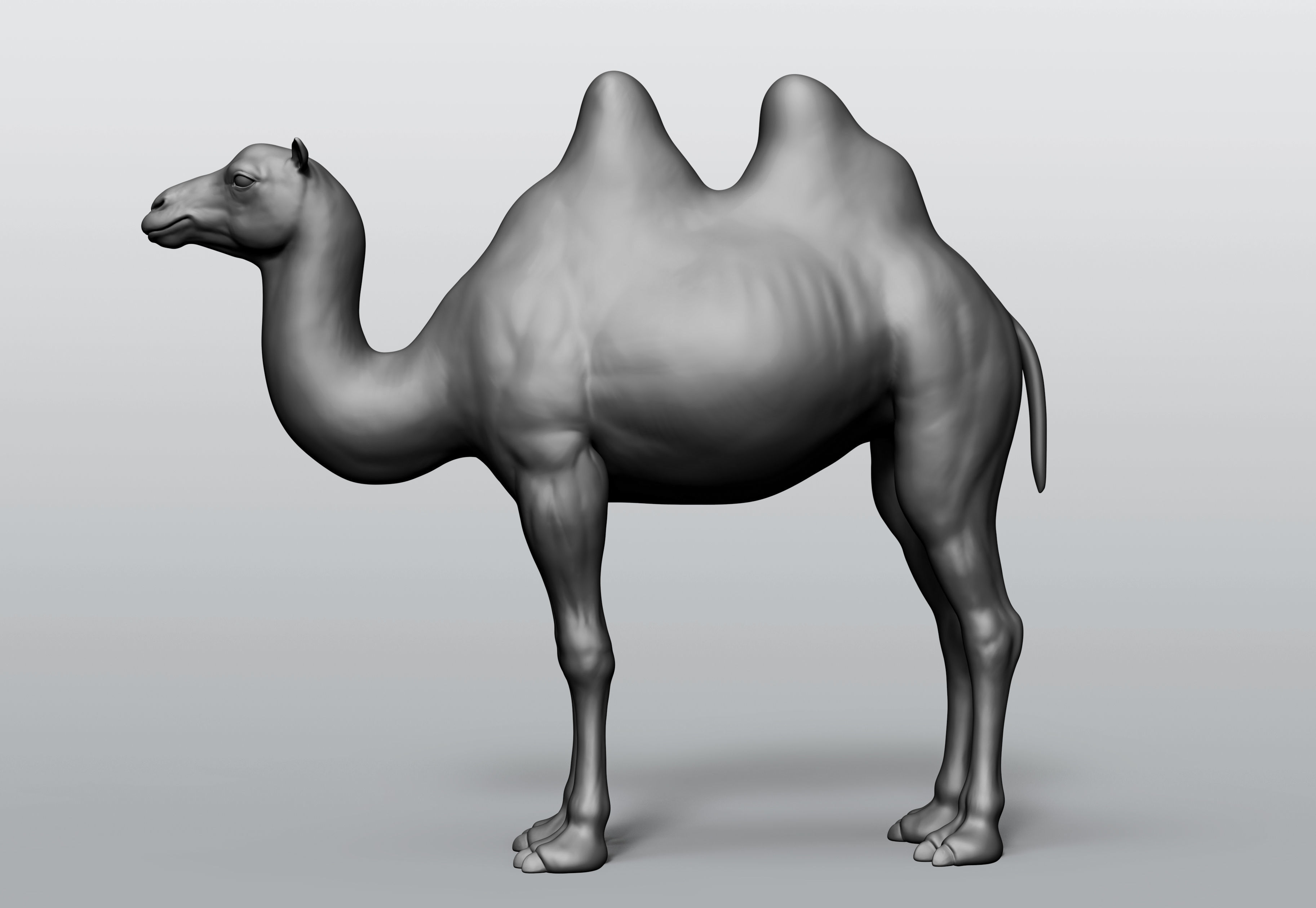 Domestic animal collection 5 animals 3D model_6