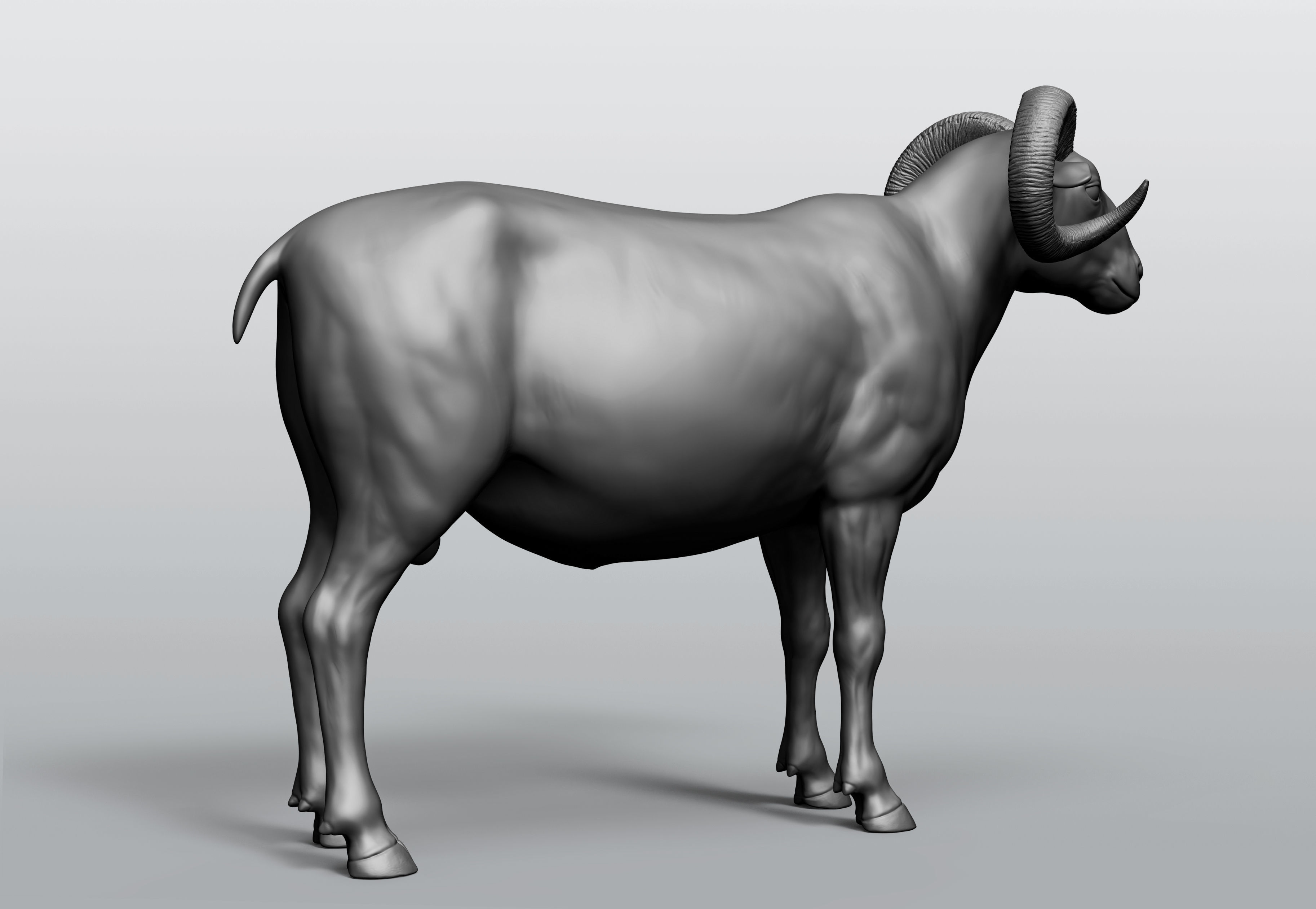Domestic animal collection 5 animals 3D model_32