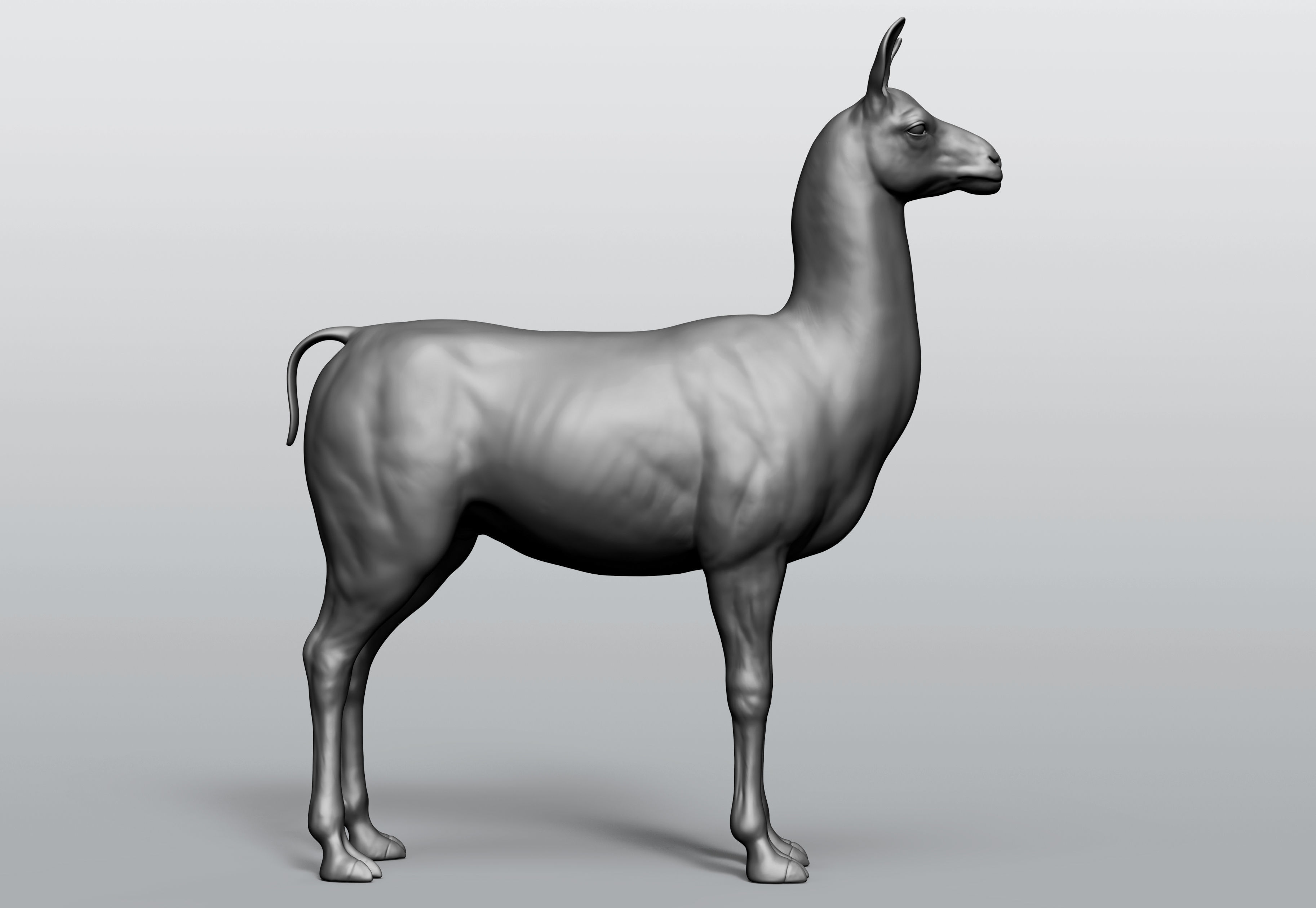 Domestic animal collection 5 animals 3D model_47