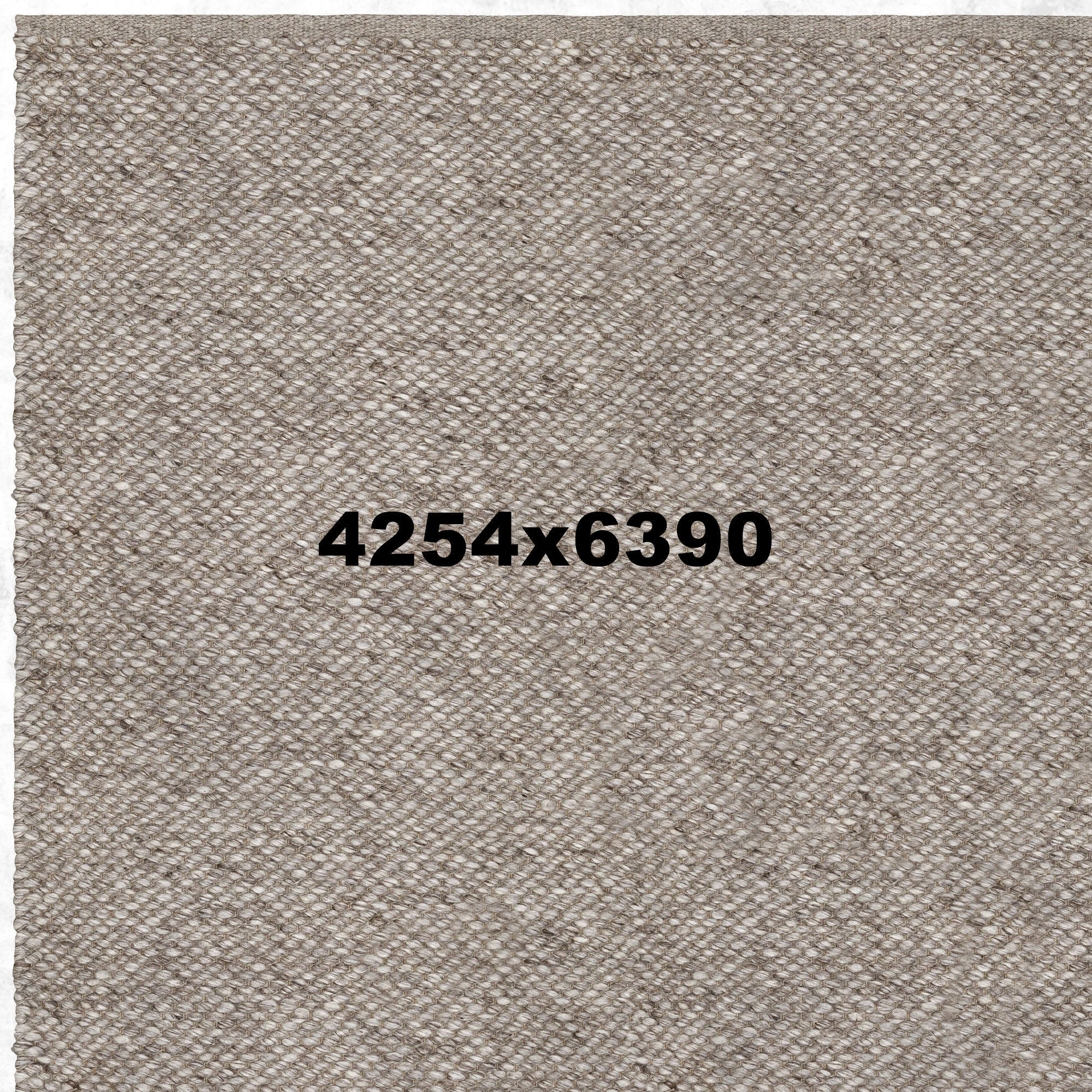 Armadillo Pompeii carpet 3D model_4