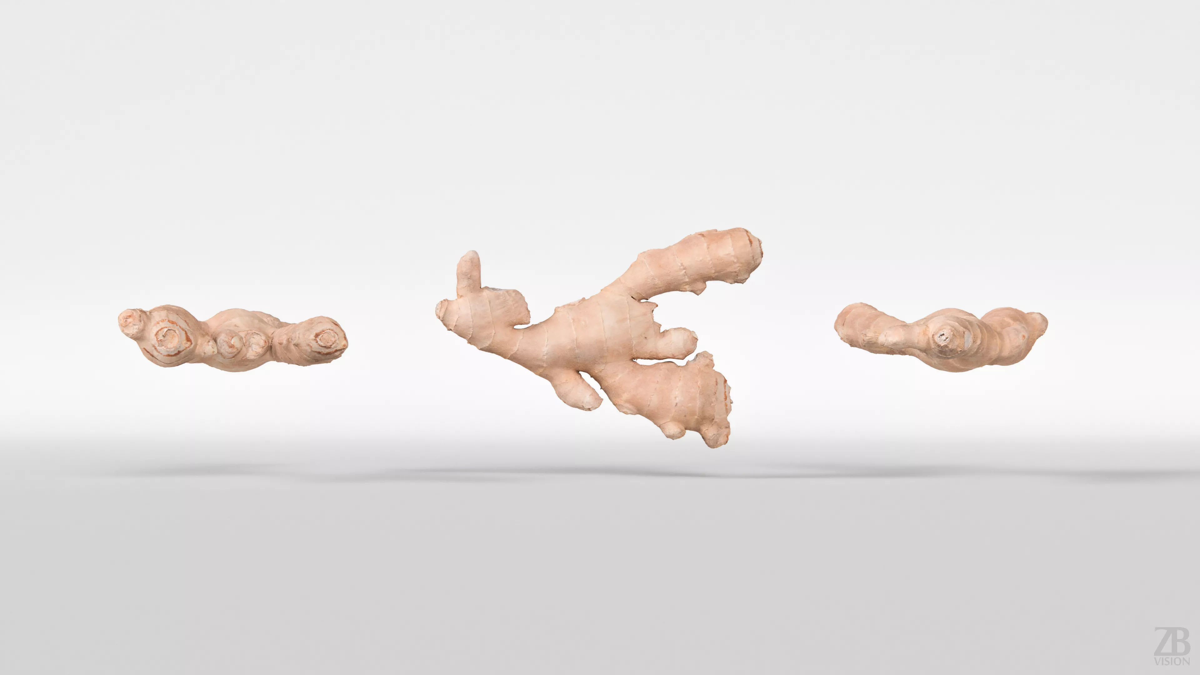 Ginger 3D model_4