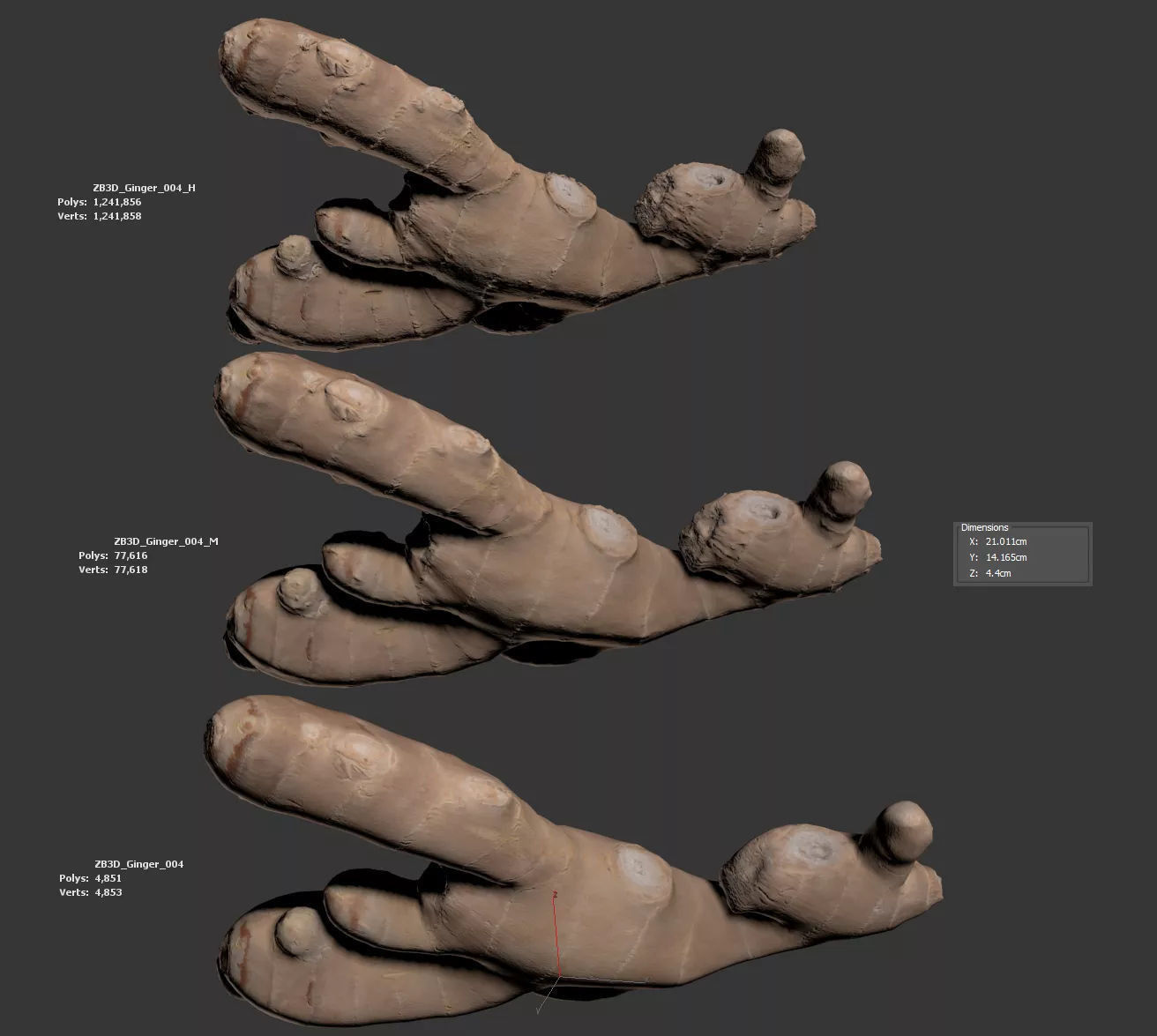 Ginger 3D model_5
