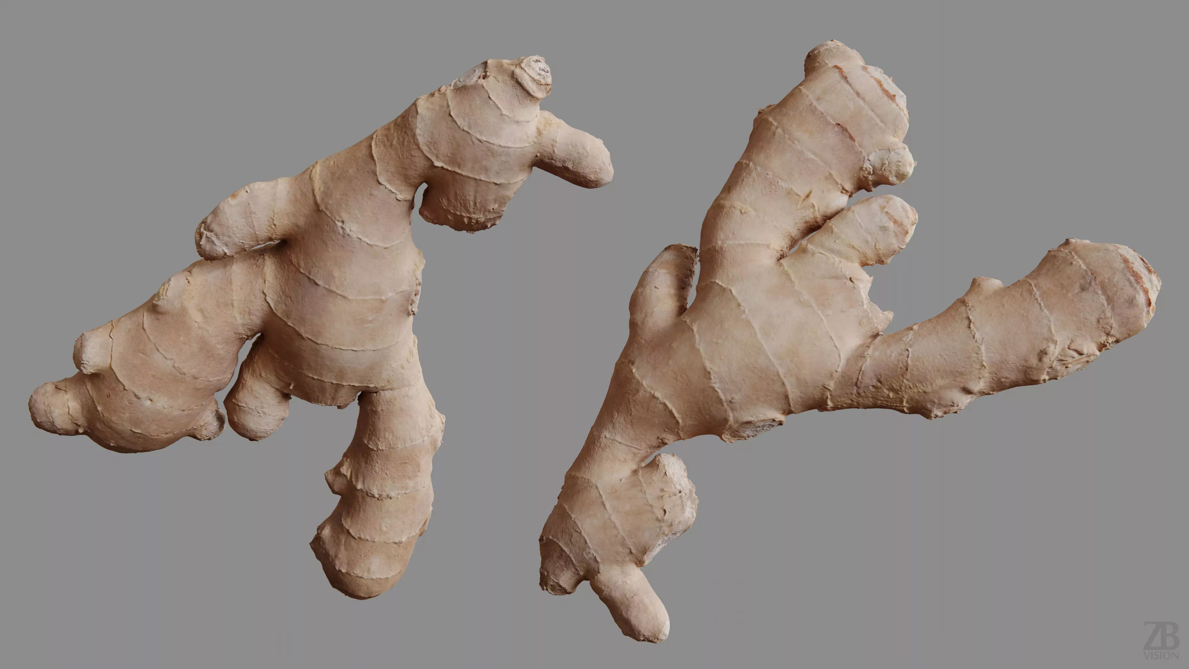 Ginger 3D model_9