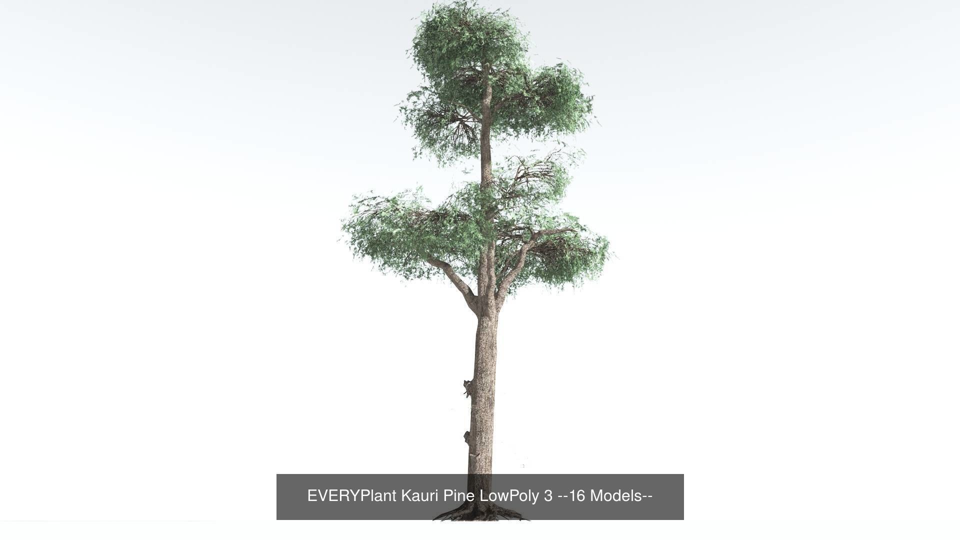 EVERYPlant Kauri Pine LowPoly Bundle --64 Models-- 3D Model Collection_3