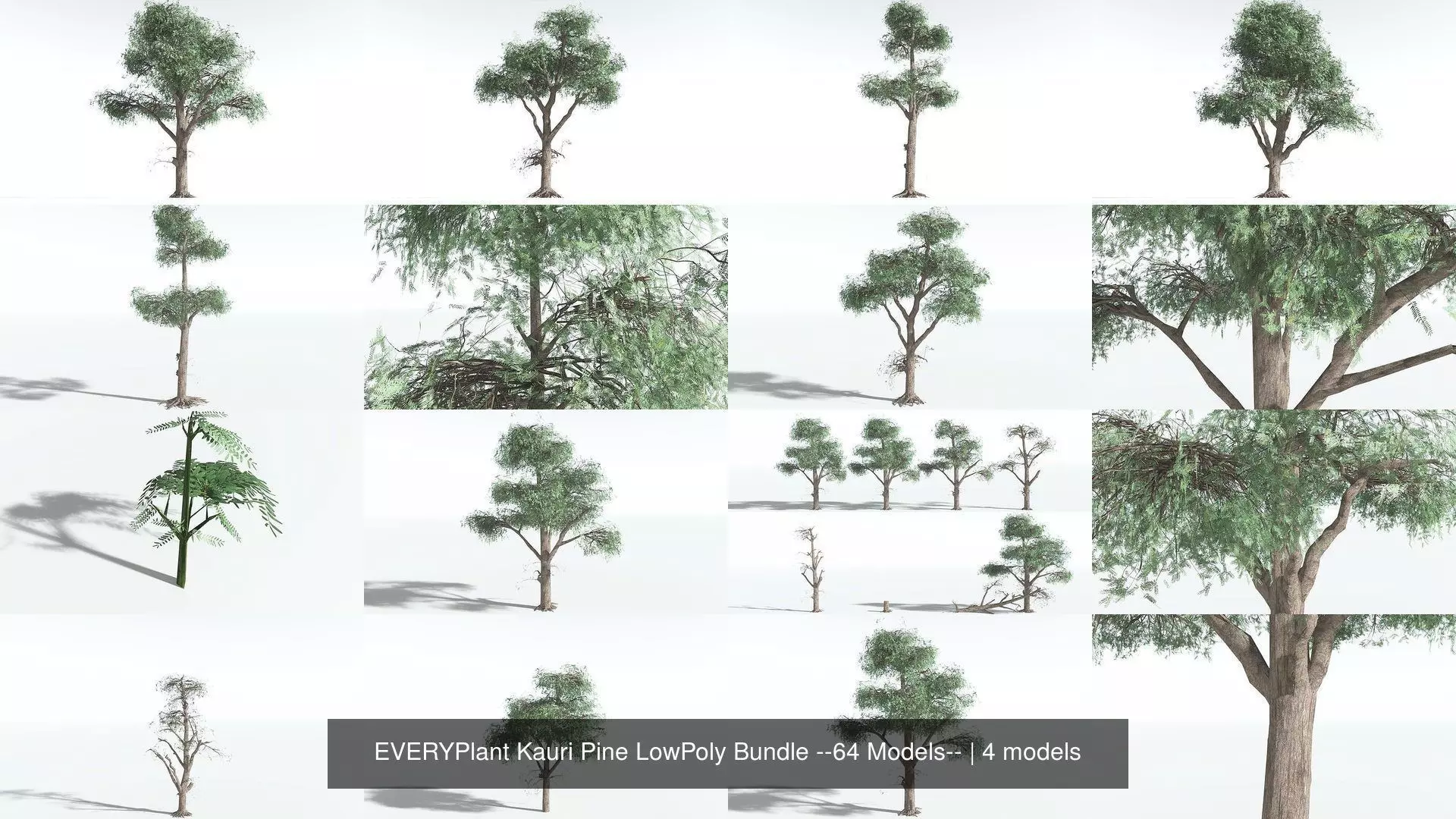 EVERYPlant Kauri Pine LowPoly Bundle --64 Models-- 3D Model Collection_0