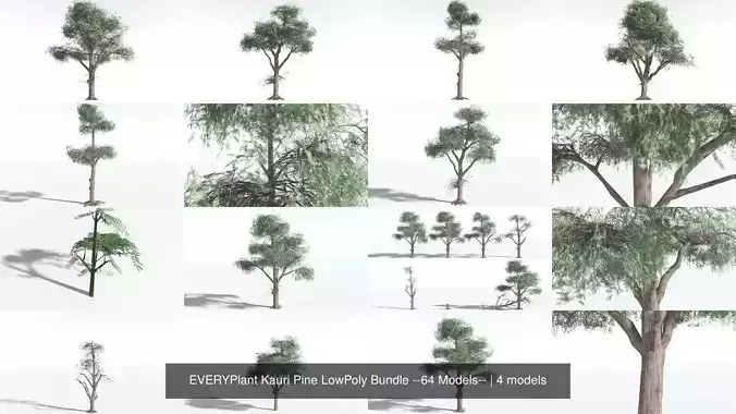 EVERYPlant Kauri Pine LowPoly Bundle --64 Models-- 3D Model Collection