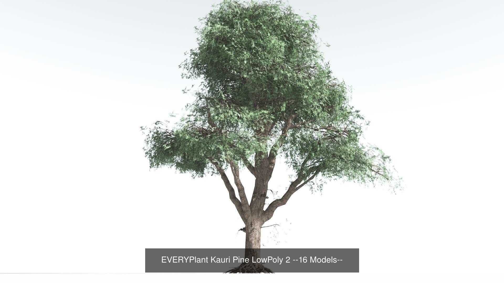 EVERYPlant Kauri Pine LowPoly Bundle --64 Models-- 3D Model Collection_4