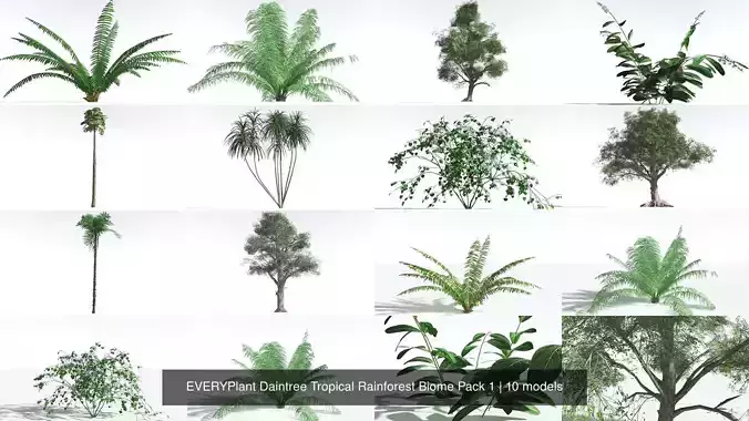 EVERYPlant Daintree Tropical Rainforest Biome Pack 1 -159 Models 3D Model Collection