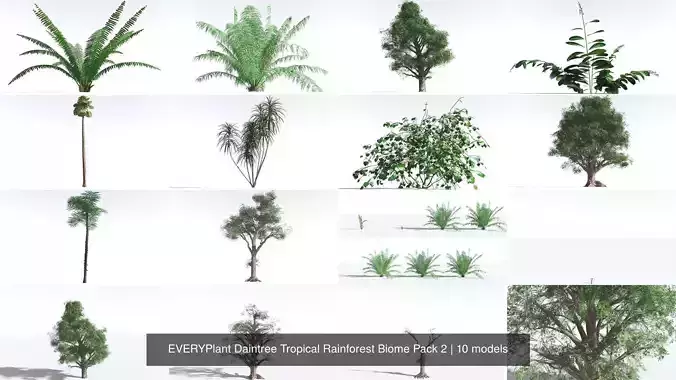 EVERYPlant Daintree Tropical Rainforest Biome Pack 2 -159 Models 3D Model Collection