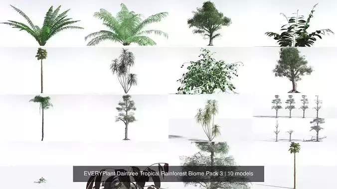 EVERYPlant Daintree Tropical Rainforest Biome Pack 3 -159 Models 3D Model Collection