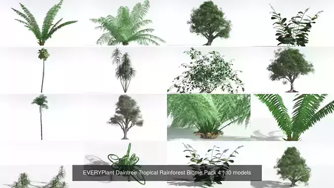 EVERYPlant Daintree Tropical Rainforest Biome Pack 4 -159 Models 3D Model Collection