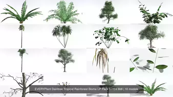 EVERYPlant Daintree Tropical Rainforest Biome LP Pack 1 -159 Mdl 3D Model Collection