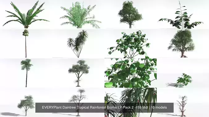 EVERYPlant Daintree Tropical Rainforest Biome LP Pack 2 -159 Mdl 3D Model Collection