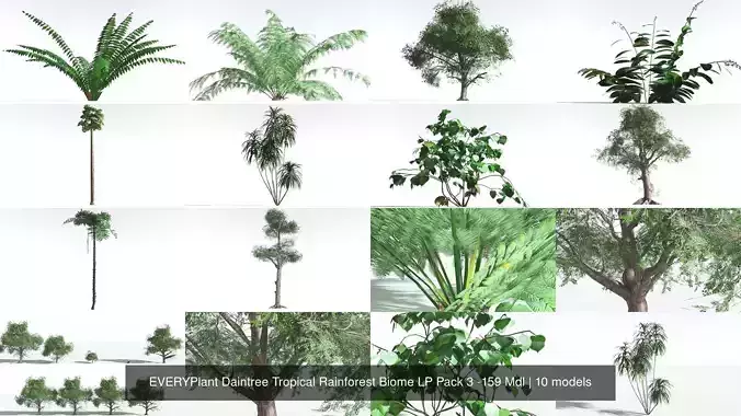 EVERYPlant Daintree Tropical Rainforest Biome LP Pack 3 -159 Mdl 3D Model Collection