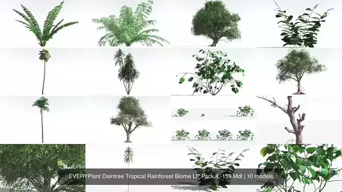 EVERYPlant Daintree Tropical Rainforest Biome LP Pack 4 -159 Mdl 3D Model Collection