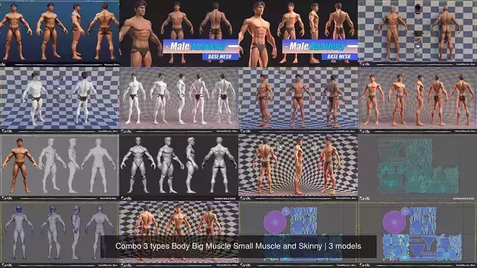 Combo 3 types Body Big Muscle Small Muscle and Skinny