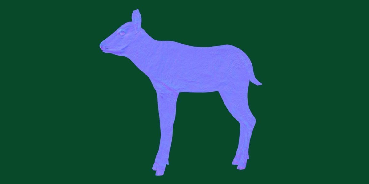 Oryx Gemsbok Calf Antelope Low-poly 3D model_17