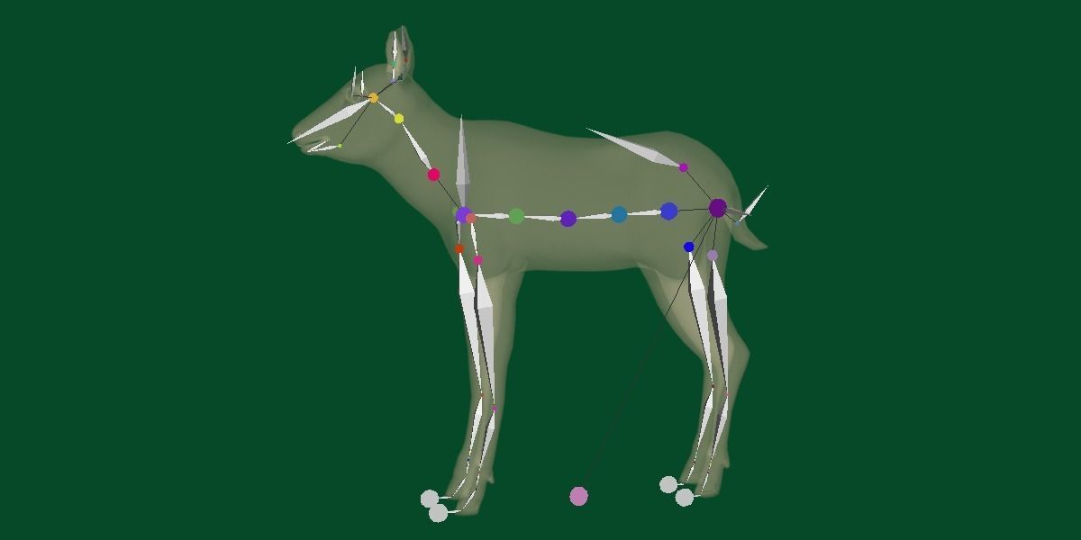 Oryx Gemsbok Calf Antelope Low-poly 3D model_14