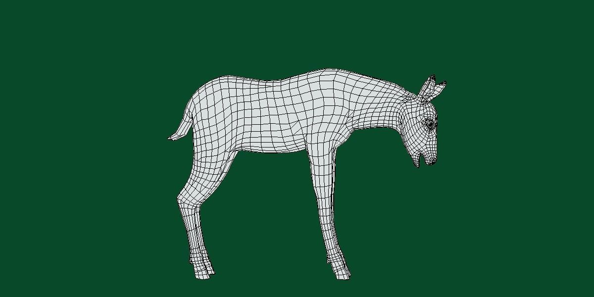 Oryx Gemsbok Calf Antelope Low-poly 3D model_6