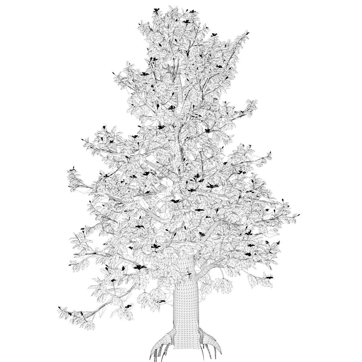 Southern Magnolia Tree - 04 - 3D model_2