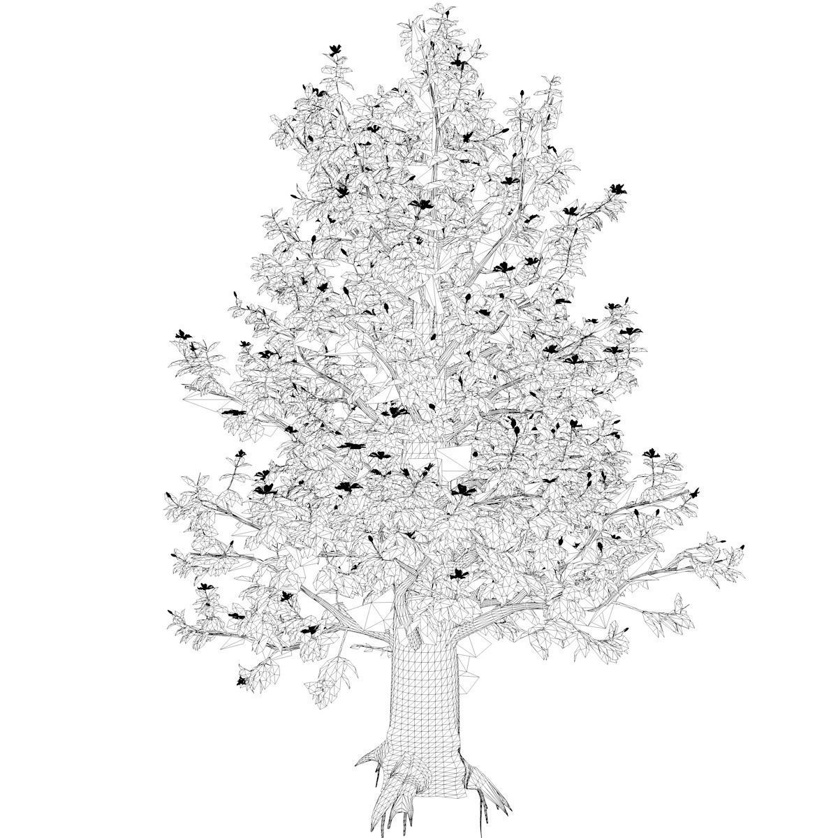 Southern Magnolia Tree - 08 - 3D model_2