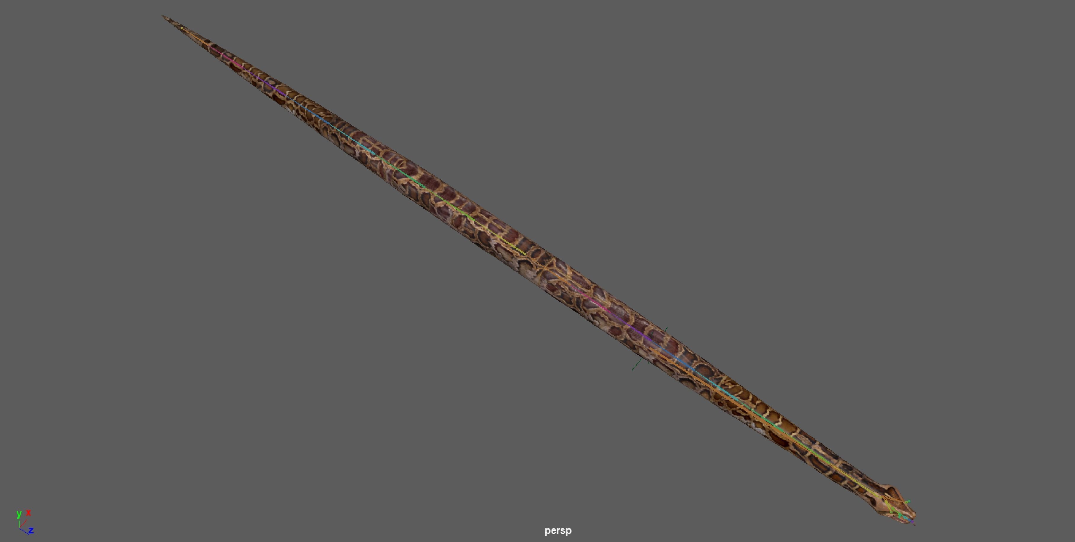 Burmese Python Snake 3D model_21