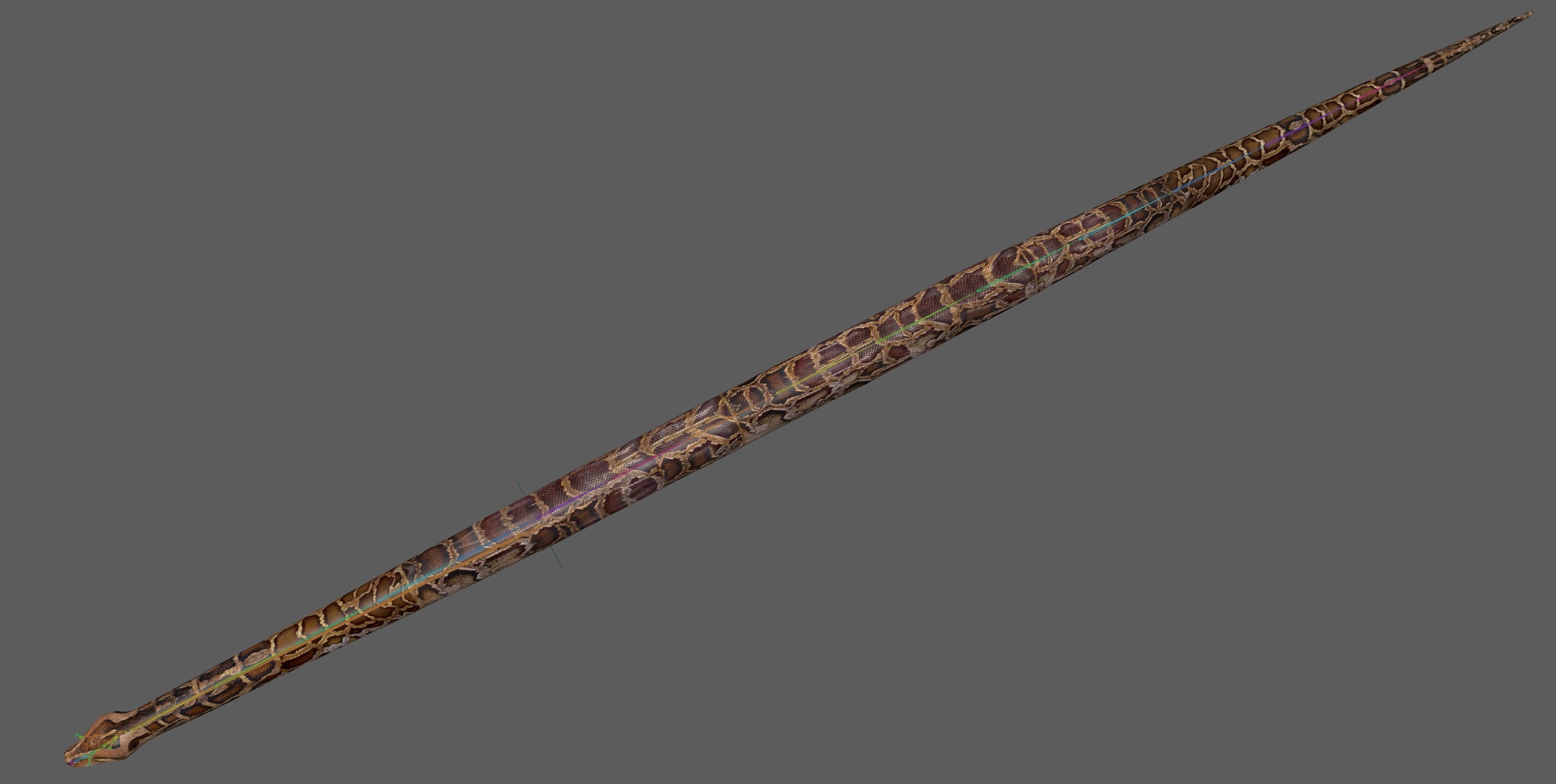Burmese Python Snake 3D model_18
